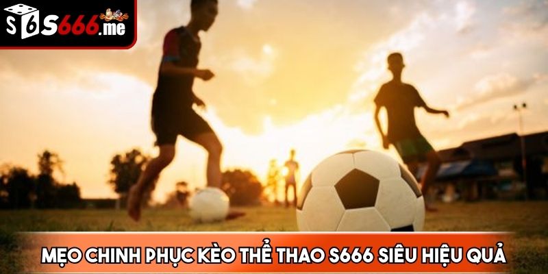 Tăng cường cơ hội thắng bằng cách cược vào nhiều trận thể thao